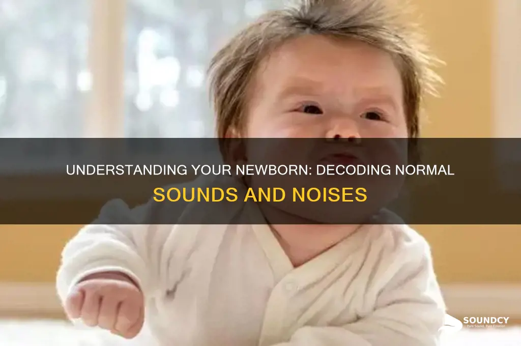 what newborn sounds are normal