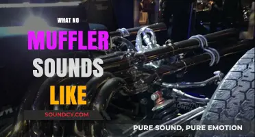 Unmuffled Engines: The Raw, Roaring Sound of Open Exhausts
