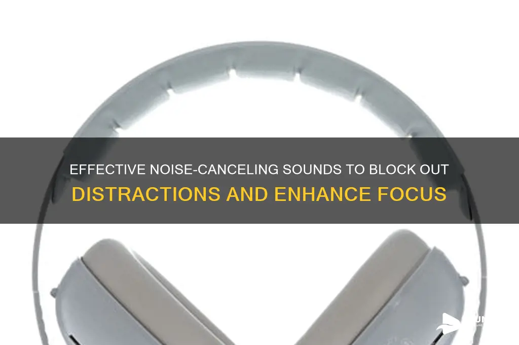 what noise blocks out sound