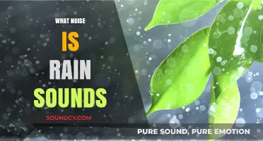 The Soothing Science Behind Rain Sounds: Nature's White Noise Explained