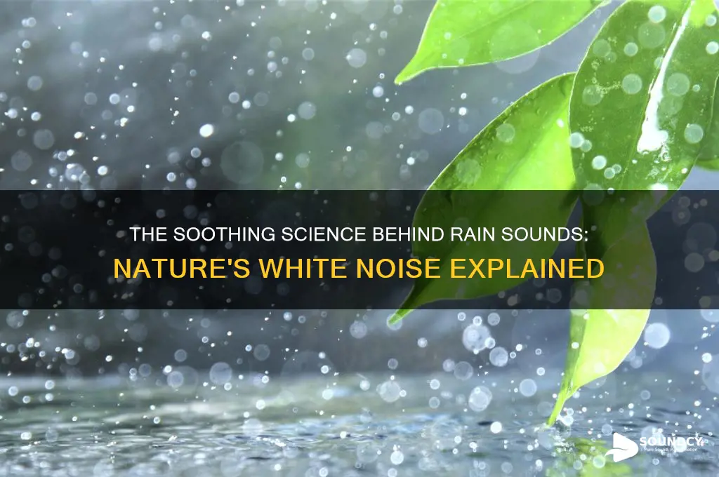 what noise is rain sounds