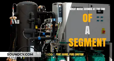 Unraveling the Mystery: What Noise Signals the End of a Segment?
