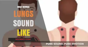 Understanding Healthy Lung Sounds: What Normal Breathing Should Sound Like