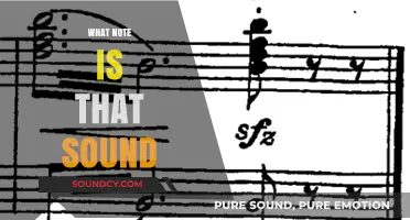 Identifying Musical Notes: Decoding the Mystery Behind Everyday Sounds
