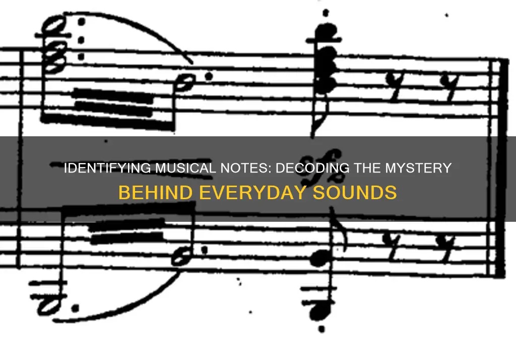 what note is that sound