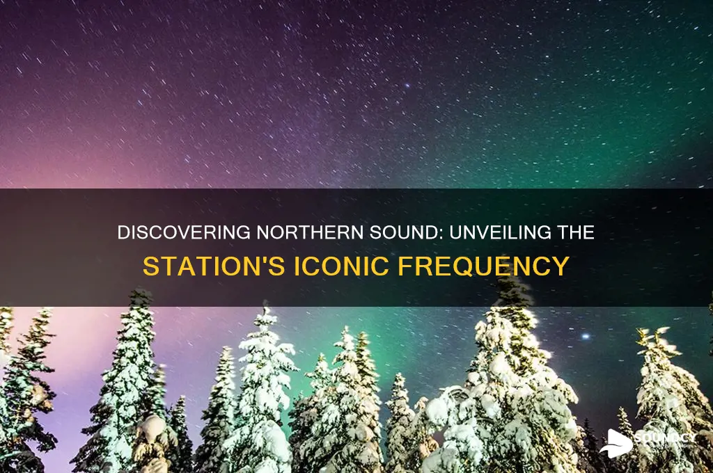what number is northern sound