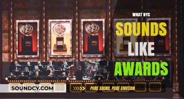 NYC Sounds Like Awards: Celebrating the City's Unique Sonic Identity