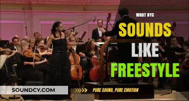 NYC's Freestyle Symphony: Capturing the City's Unique Sonic Pulse