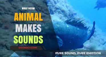 Exploring the Ocean's Noisy Neighbors: Which Marine Creatures Make Sounds?