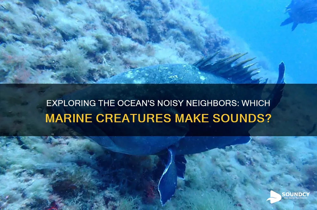 what ocean animal makes sounds
