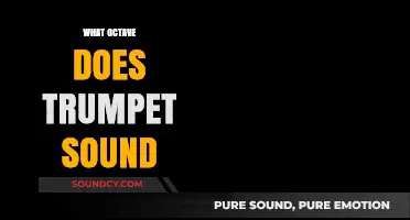 Exploring the Trumpet's Octave Range: Where Its Sound Resonates