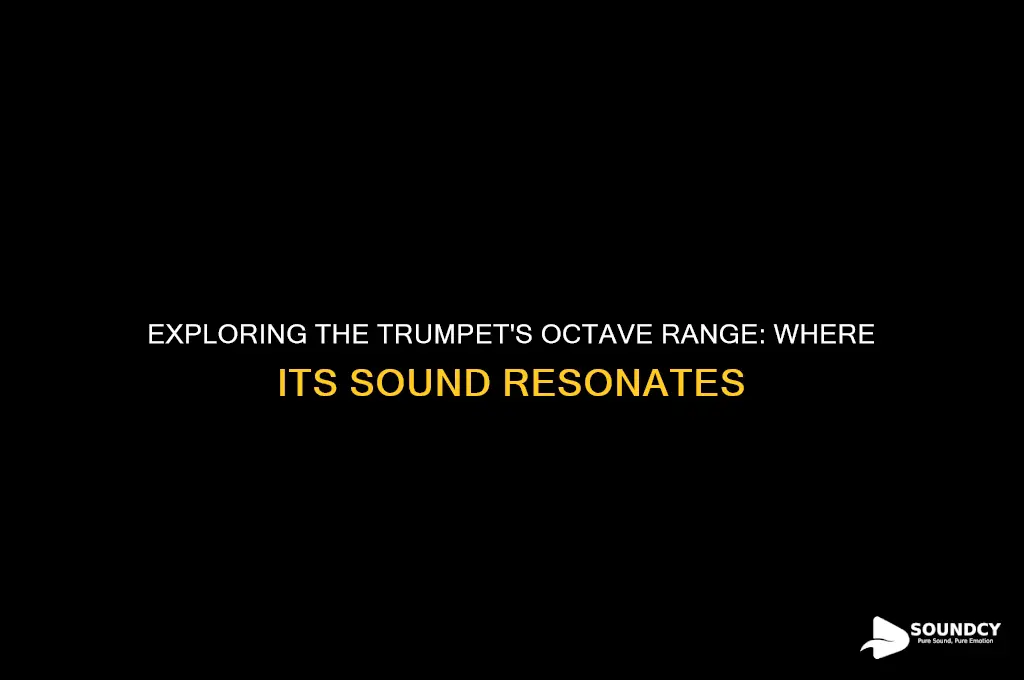 what octave does trumpet sound