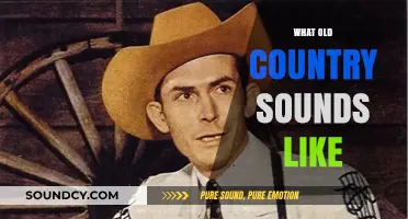 Echoes of Tradition: Unveiling the Timeless Sounds of Old Country