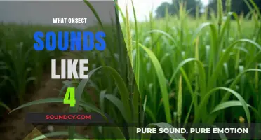 Unveiling the Mystery: What Onsect Sounds Like in 4 Simple Steps