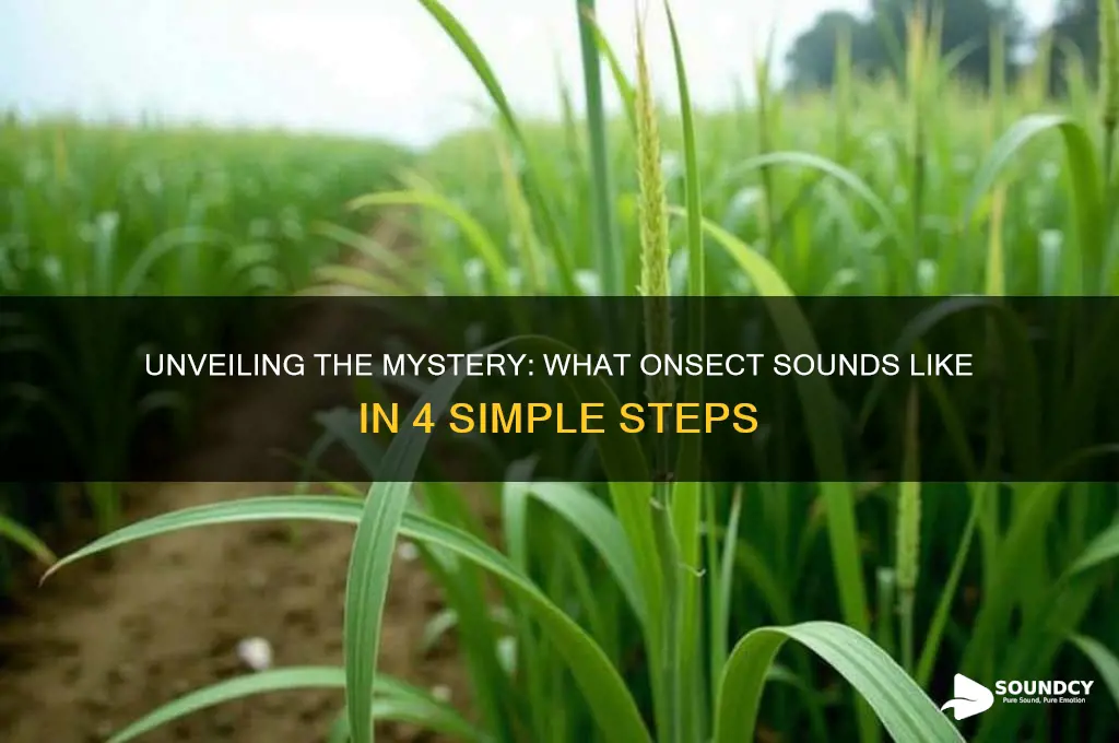 what onsect sounds like 4