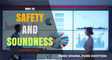 Understanding OS Safety and Soundness: Key Principles and Practices