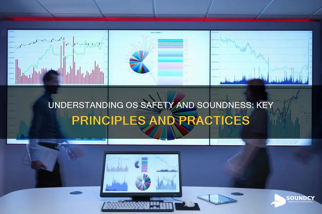 what os safety and soundness