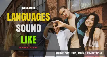 Exploring the Unique Sounds of Languages Worldwide: A Sonic Journey