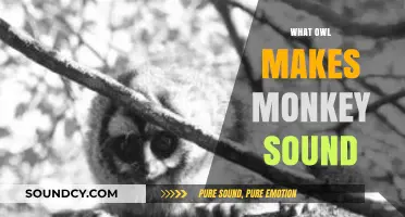 Unveiling the Mystery: Which Owl Mimics Monkey Sounds in the Wild?