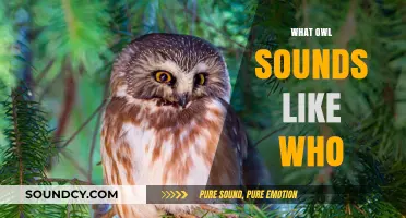 Unveiling the Mystique: What Owl Sounds Like 'Who' in Nature