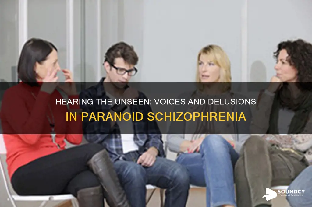 what paranoid schizophrenia sounds like