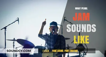 Exploring Pearl Jam's Signature Grunge Sound and Musical Evolution
