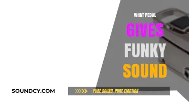 Unleash Your Groove: The Wah Pedal for Funky Guitar Tones
