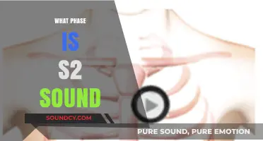 Understanding the Cardiac Cycle: What Phase Produces S2 Heart Sound?