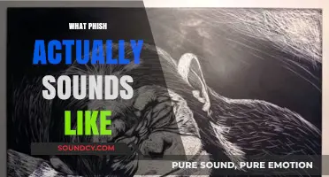 Unveiling Phish's Unique Sound: A Deep Dive into Their Musical Identity