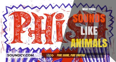 Phish's Music Through Nature's Lens: Animal Sounds in Their Jams