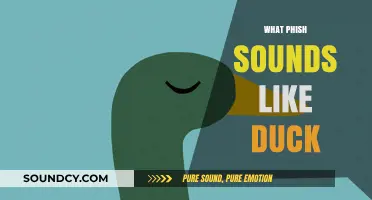 Phish's Unique Sound: Why Fans Say It Quacks Like a Duck