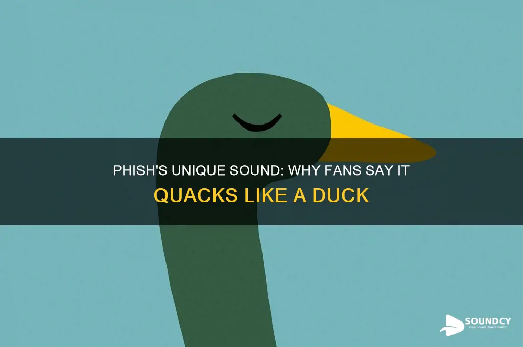 what phish sounds like duck