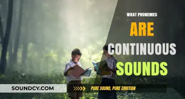 Understanding Continuous Phonemes: Exploring Prolonged Sounds in Speech