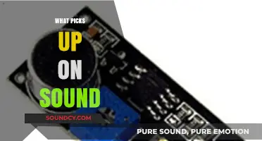 Exploring Sound Detection: Devices and Technologies That Capture Audio Waves