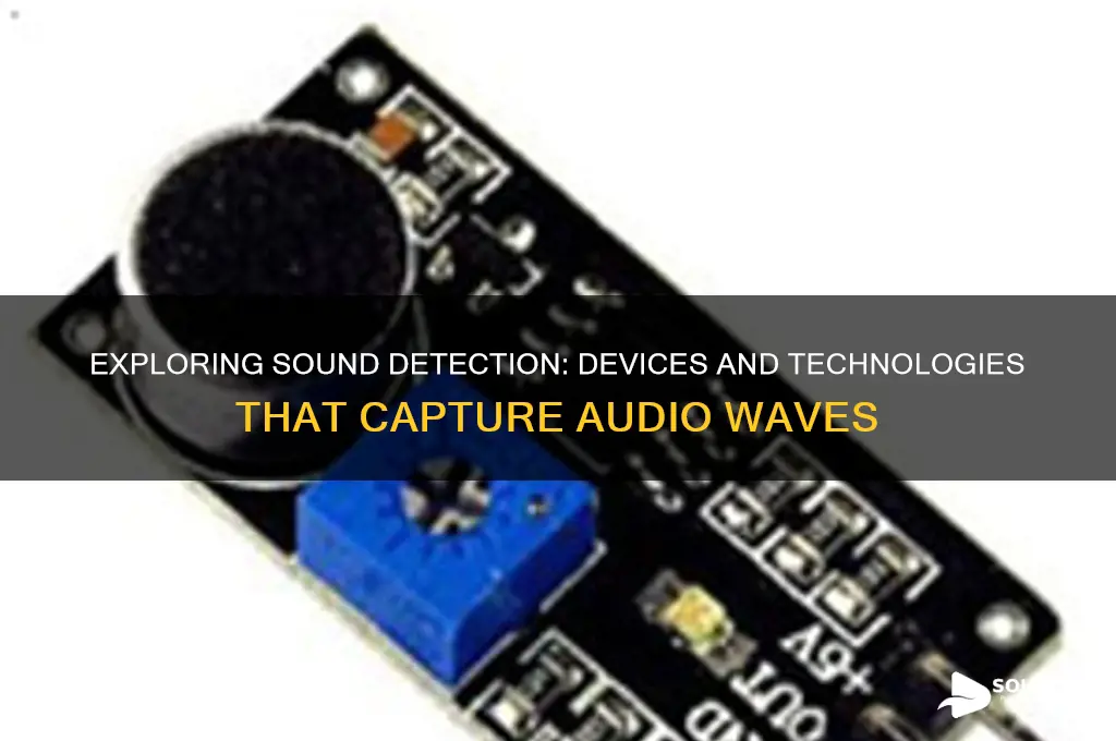 what picks up on sound