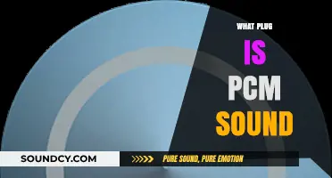 Understanding PCM Sound: What Plug is PCM and How Does it Work?