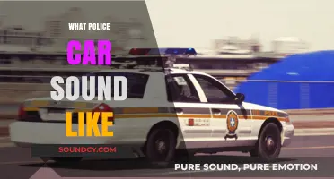 Decoding the Distinctive Siren Sounds of Police Cars Worldwide