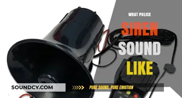 Decoding Police Siren Sounds: What to Listen For and Why