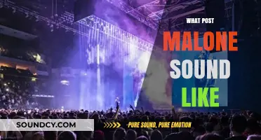 Unraveling Post Malone's Signature Sound: A Fusion of Genres and Styles