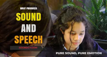 Unveiling the Science Behind Sound and Speech Production Mechanisms