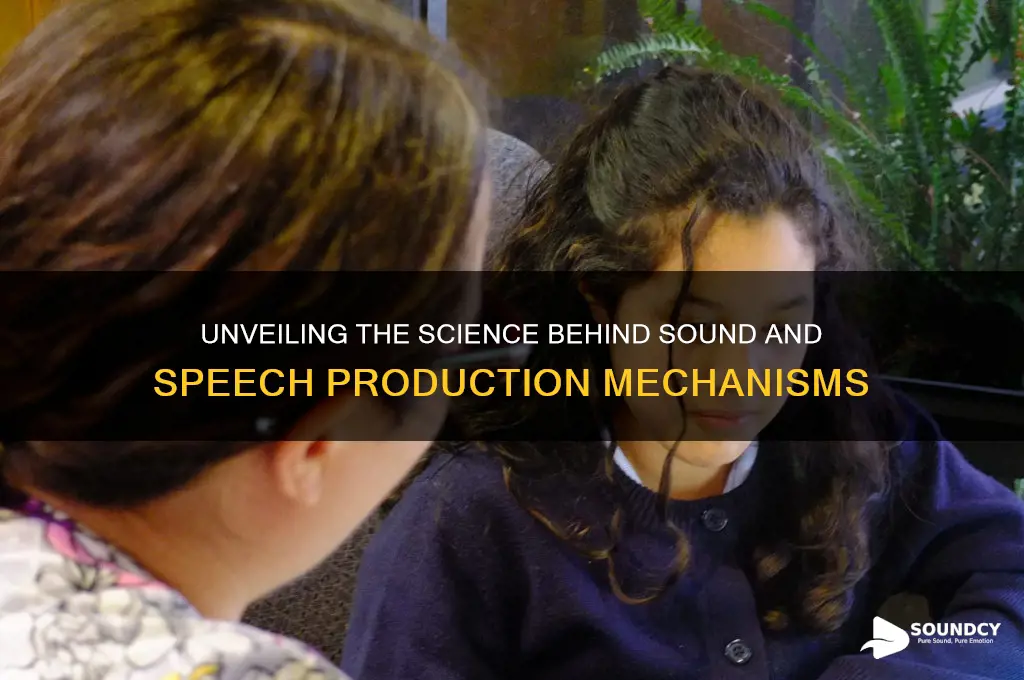 what produces sound and speech