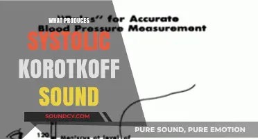 Understanding Systolic Korotkoff Sounds: Causes and Clinical Significance