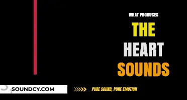 Understanding Heart Sounds: Origins, Mechanisms, and Clinical Significance
