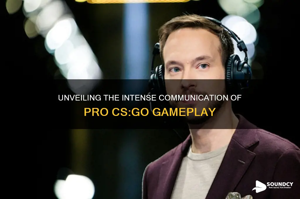 what professional csgo sounds like