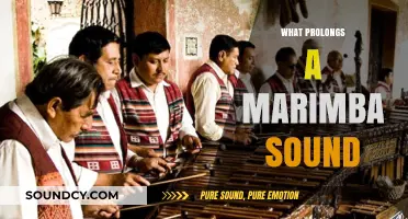 Understanding the Factors That Prolong a Marimba's Vibrant Sound