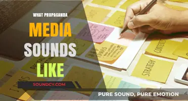 Decoding Propaganda: Recognizing Manipulative Media Tactics and Their Impact