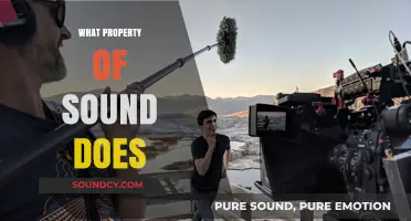 Exploring the Intriguing Property of Sound That Shapes Our Perception
