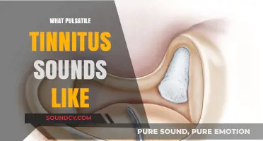Understanding Pulsatile Tinnitus: The Rhythmic Whooshing or Thumping Sound Explained