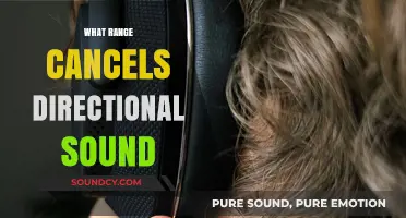 Understanding the Range That Effectively Cancels Directional Sound Waves
