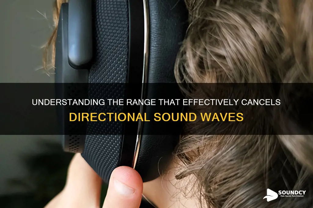 what range cancels directional sound